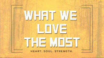 What We Love The Most